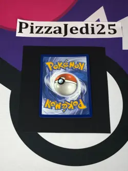 Holo Poochyena GG33/GG70 Ultra Rare Crown Zenith Pokemon TCG - Image 2