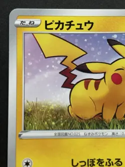 Pokemon card Pikachu 024/S-P Gym Promo 2019 Pokemon TCG Japanese Rare Nintendo - Image 2