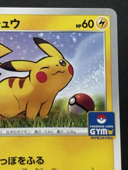 Pokemon card Pikachu 024/S-P Gym Promo 2019 Pokemon TCG Japanese Rare Nintendo - Image 3