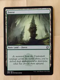 FOREST BASIC LAND-MTG: ADVENTURES IN THE FORGOTTEN REALMS-280/281 - Image 1