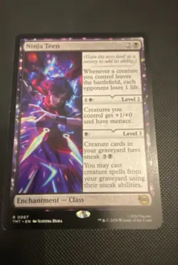 Ninja Teen; Teenage Mutant Ninja Turtles MTG - Image 1