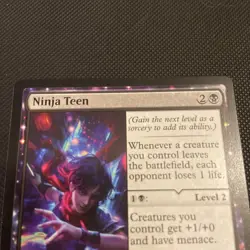 Ninja Teen; Teenage Mutant Ninja Turtles MTG - Image 2