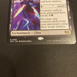 Ninja Teen; Teenage Mutant Ninja Turtles MTG - Image 3