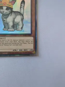 Rescue Cat 1st Edition Prismatic Collector's Rare RA02-EN001 Yu-Gi-Oh! - Image 5