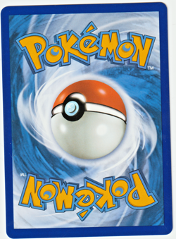 Pokemon Zeraora VMAX 054/159 Crown Zenith Holo NM - see high res photos - Image 2
