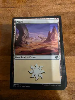 Magic: The Gathering basic lands - 100 Plains - Image 1