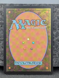 LP - Boreal Shelf - Coldsnap - Magic The Gathering Lightly Played English MTG - Image 2