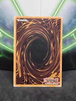 Yugioh Dark Magician YGLD-ENA03 Common LP - Image 2
