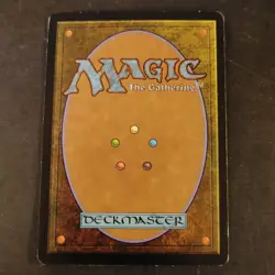 Rishadan Port Mercadian Masques Rare Land MTG HP-MP - Image 2