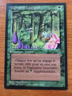 Magic MTG Wild Growth French FBB Revised NM! - Image 1