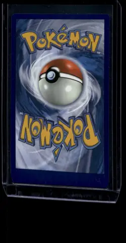 Pokemon TCG Morpeko 206/182 Paradox Rift Illustration Rare NM - Image 2