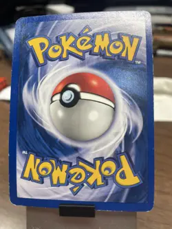 Pokemon TCG Dark Gyarados Holo Rare 8/82 Prerelease Holo 2000 Promo Unused - Image 2