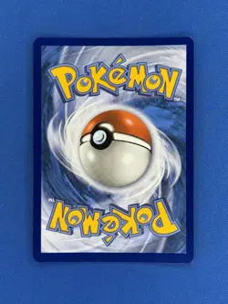Pokemon Mega Evolution - Mega Venusaur Ex 013 Black Star Promo - Image 2