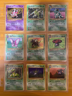 Pokemon Card COMPLETE Jungle Master Set 48/48 1999 Japanese - Image 3