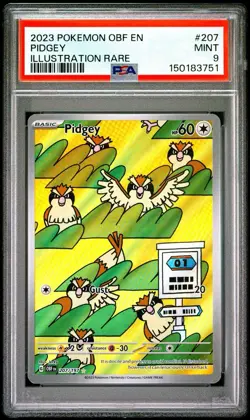 2023 POKEMON OBF EN-OBSIDIAN FLAMES ILLUSTRATION RARE #207 PIDGEY PSA 9 - Image 1