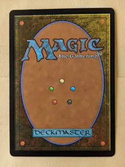 FOREST BASIC LAND-MTG: ADVENTURES IN THE FORGOTTEN REALMS-281/281 - Image 2