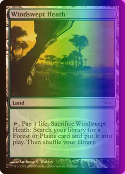 MTG Magic the Gathering Windswept Heath (9/10) Judge Gift Cards 2009 LP FOIL - Image 1