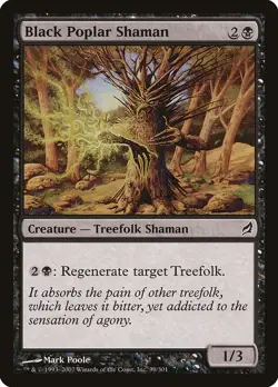 MTG Magic the Gathering Black Poplar Shaman (99/312) Lorwyn LP - Image 1