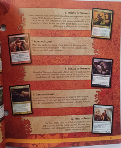 Magic the Gathering * BORN OF THE GODS Player's Guide * MTG - Image 4
