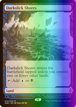 MTG Darkslick Shores (12/30) Zendikar Rising Expeditions LP FOIL - Image 1
