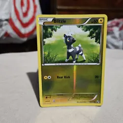 Blitzle Pokemon TCG Black & White Reverse Holo Common Card #40/114 #40 - Image 1