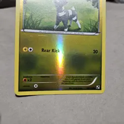 Blitzle Pokemon TCG Black & White Reverse Holo Common Card #40/114 #40 - Image 2