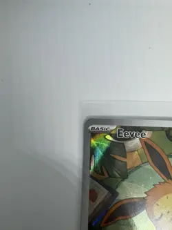 Pokemon TCG Eevee 173 Scarlet & Violet Promo Holo English 2025 - Image 4