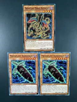 Yugioh - Predaplant Moray & Banksiogre Bundle - Common - 1st - Image 1