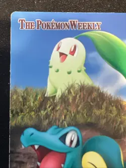 The Pokemon Weekly Bandai Carddass No.46 Chikorita Cyndaquil Totodile Japanese - Image 5