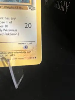 Pokemon Pikachu Jungle 1st Edition Common Regular 60/64 1999 50 HP English - Image 4