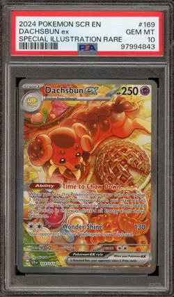 Pokemon Dachsbun ex Stellar Crown Special Illustration Rare #169 PSA 10 Gem Mint - Image 1