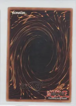 Sonic Bird Unlimited YuGiOh Starter Deck Pegasus #SDP-011 2003 READ - Image 2