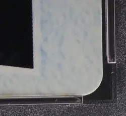 PSA 8 Pokemon Card Mew #MOVIE 16 Japanese Bandai Carddass Vending 1998 - Image 5