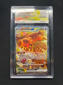 Pokemon TCG Dachsbun EX Special Illustration Rare 169/142 Stellar Crown ACE 10 - Image 1