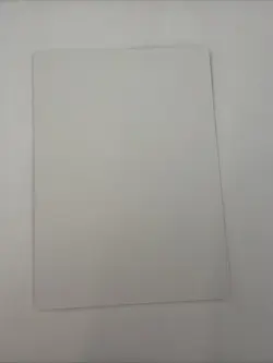 MTG Herd Migration (DMU) #165 Signed Artist Proof Eric Deschamps - Image 2