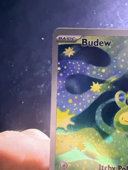 Budew 221/217 Pokemon Ascended Heroes Illustration Rare Full Art Holo - Image 4