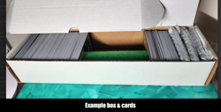 May 8th ship x1 MTG Lot 600 Cards C/Un/R NM/LP "The McBrutus" - Image 1