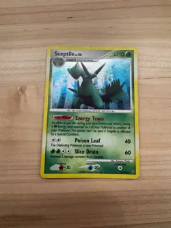 Pokemon TCG Sceptile Holo Rare Card 10/100 Stormfront - Image 1
