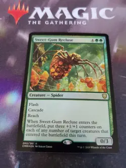 Mtg. Sweet-Gum Recluse. Foil. Commander Legends. Nm - Image 1