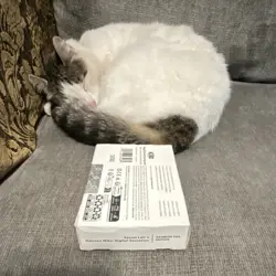 Secret Lair Drop: Hatsune Miku: Digital Sensation EN Rainbow Foil Ed (SEALED) - Image 2