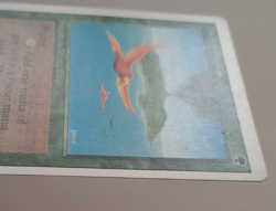 Birds of Paradise HP / Damaged 3rd Edition Revised MTG Magic the Gathering - Image 3