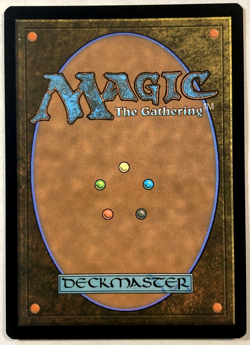 MTG Floodfarm Verge BORDERLESS Duskmourn: House of Horror 330 NM - Image 2