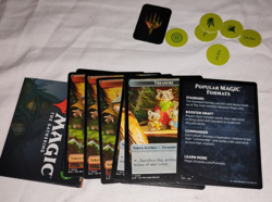 MTG Bloomburrow Commander Deck – Animated Army – Magic The Gathering Sealed - Image 3