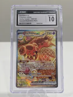 CGC 10 Dachsbun ex 169/142 SIR - Stellar Crown - Pokemon TCG - Image 1