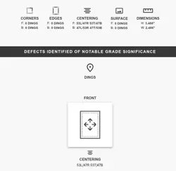 IRON CROWN EX SIR #206/162 - 2024 EN POKEMON S&V TEMPORAL FORCES TAG GEM MINT 10 - Image 4