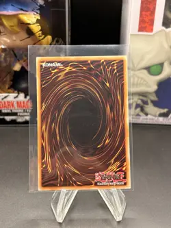 Caius the Shadow Monarch - SR01-EN004 - 1st Edition - YuGiOh - Image 3