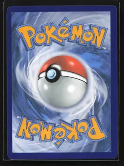 Pikachu Promo SWSH: Sword & Shield Promo Cards SWSH234 NM - Image 2