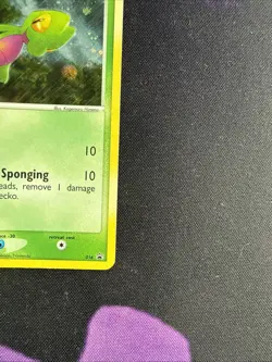 Treecko 016 Original 2004 Pokemon TCG Nintendo Black Star Promo Card LP - Image 4