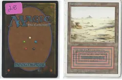 Badlands Revised Ed. - Lightly Played Dual Land Magic the Gathering - MTG - Image 1