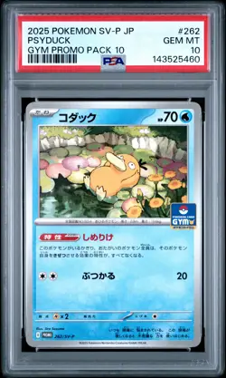 PSA 10 Psyduck 262/SV-P Gym Promo Pack 10 Sv-p Promo Pokemon Japanese - Image 1